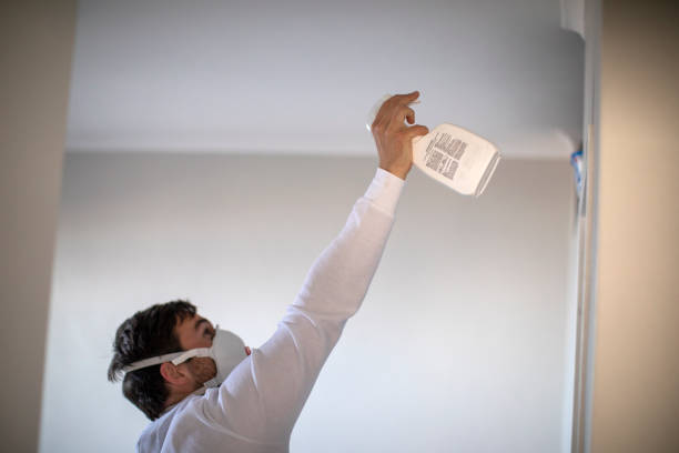 Best Same-Day Mold Removal  in Nikiski, AK