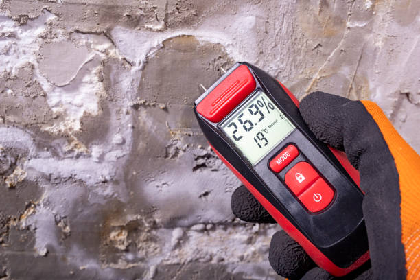 Best Water Damage Restoration  in Nikiski, AK