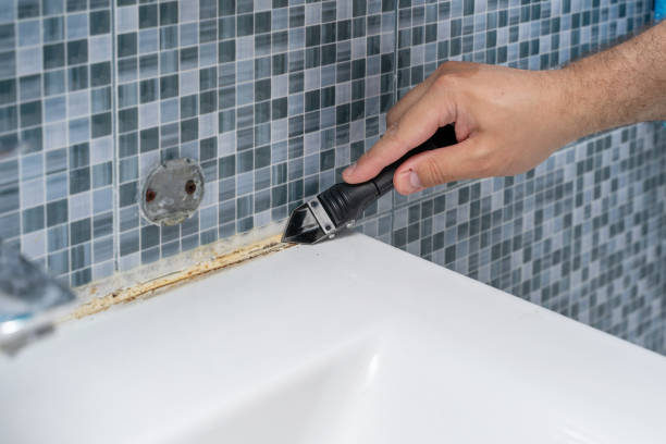 Best Residential Mold Removal  in Nikiski, AK